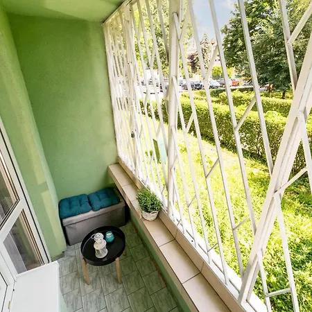 Zakrzowek Standard Apartment *